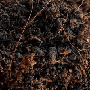 tanah campur 6 dalam 1 - Image 1