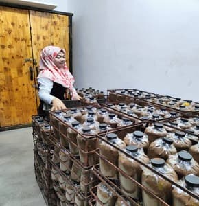 Bongkah cendawan - Image 1