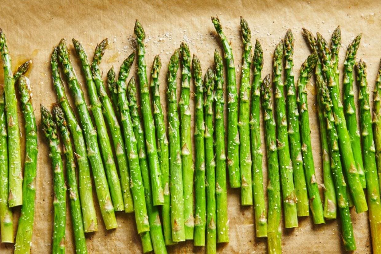 anak pokok asparagus