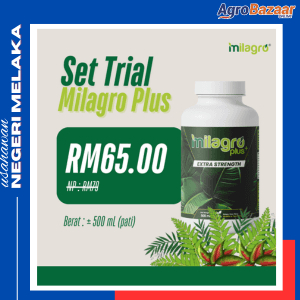 MILAGRO PLUS (PATI ) - Image 1