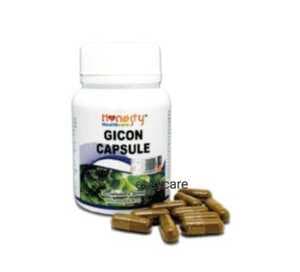 Gicon Capsule Honesty - Image 1