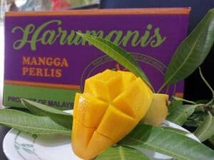 HARUMANIS PERLIS GRED 1 - Image 1