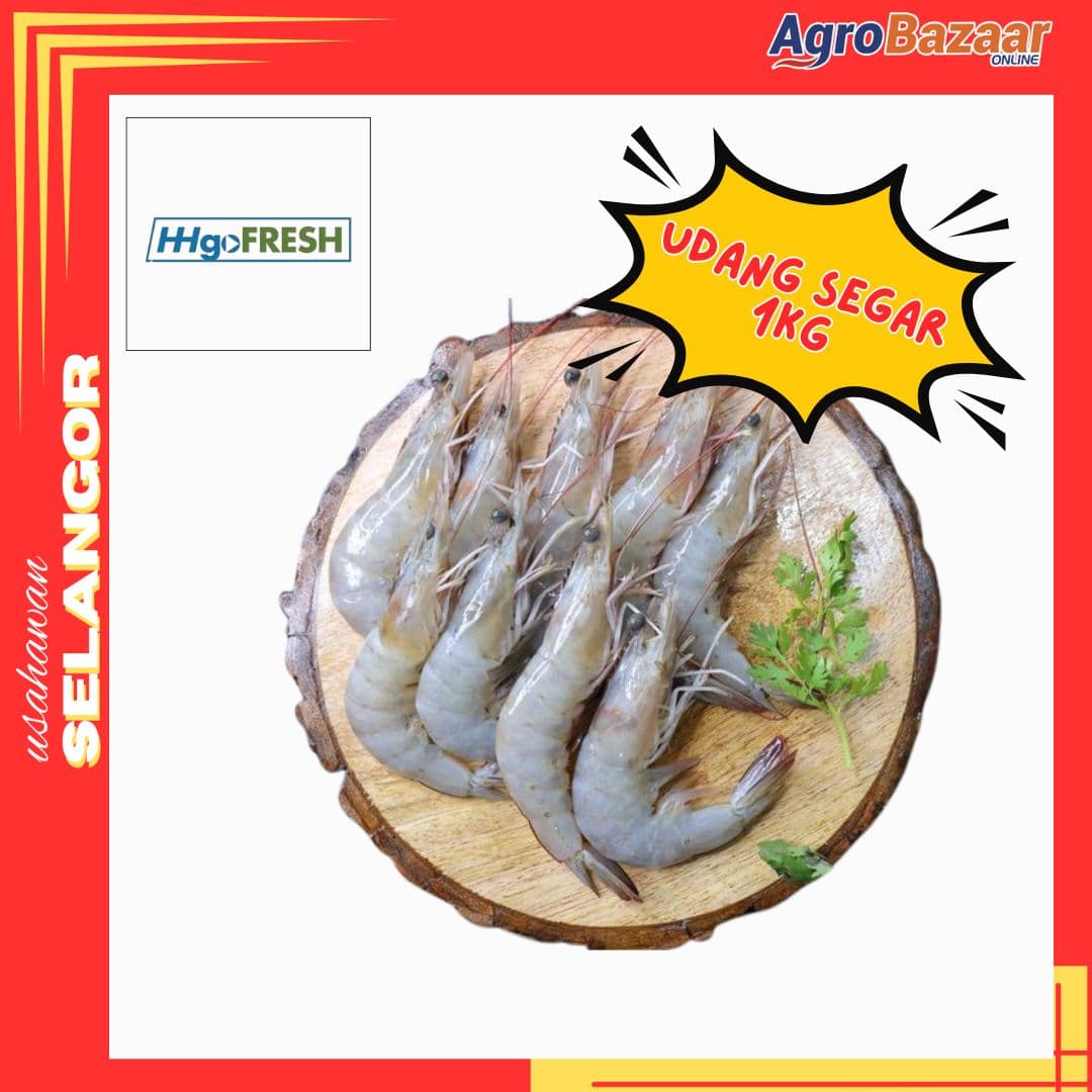Promosi Udang Segar 1kg - Image 1