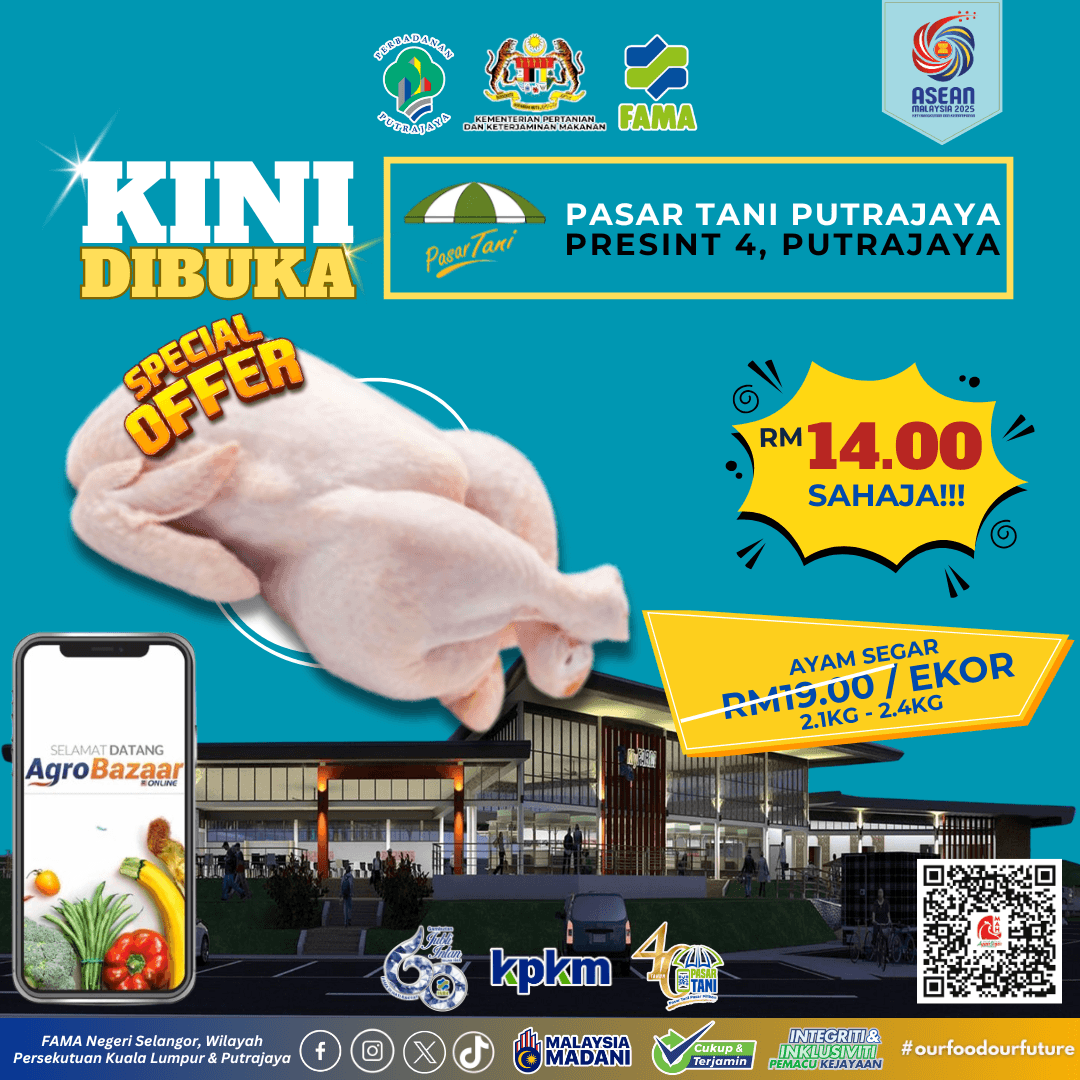 Kombo Ayam Segar L - 1.9 KG - 2.2 KG - Image 1