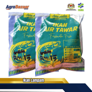 Combo Ikan Lampam