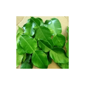 Daun limau purut/daun tomyam - Image 1