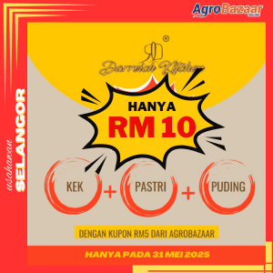 Kombo Darriech - Image 1