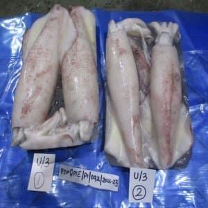 Whole Squid - Image 1