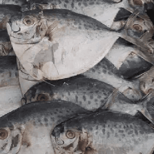 ikan masin kapak 1kg