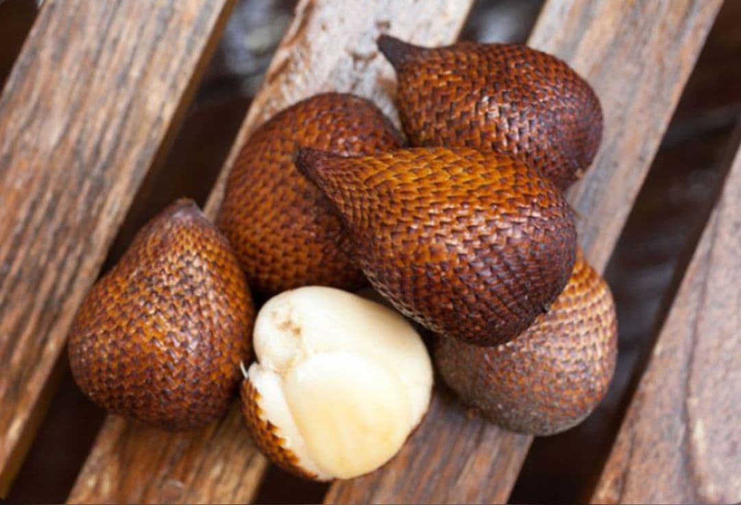 BUAH SALAK - Image 1