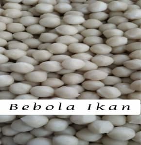 Bebola Ikan - Image 1