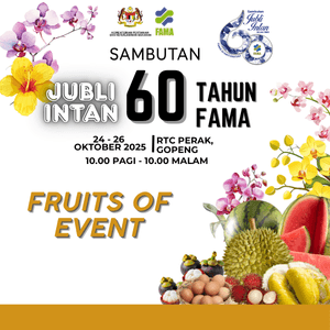 LOT FRUITS OF EVENT 6 X 12 KINGDOM OF AGROFOOD
