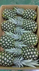 Fresh MD2 Pineapple - Image 1