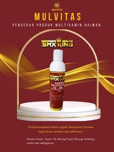 SMX KING 250 ML - Image 1