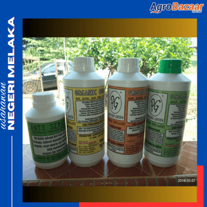 Organic Flower - Image 1