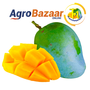 TM MANGGA HARUMANIS PERLIS 3KG - Image 1