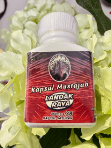 Kapsul HATI Landak Raya