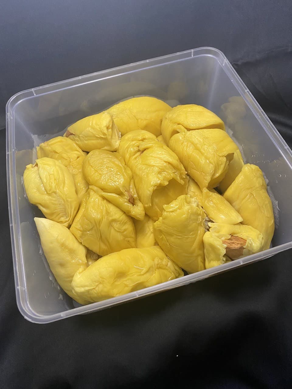 Durian Musang King