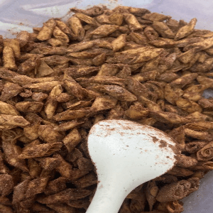 KEREPEK POPIA - Image 1