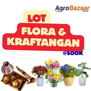 LOT FLORA & KRAFTANGAN - Image 1