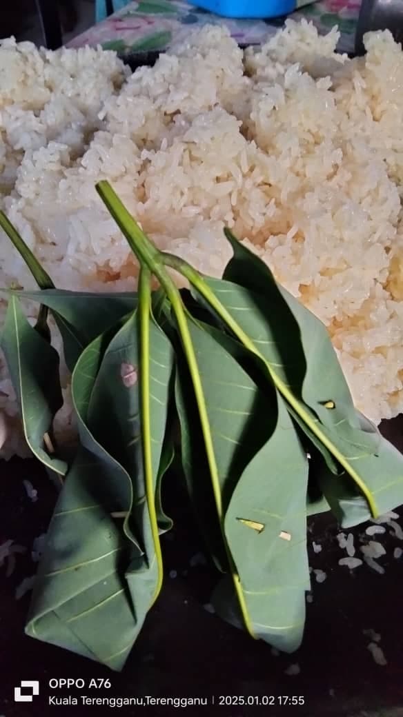 Tapai Daun Getah - Image 1