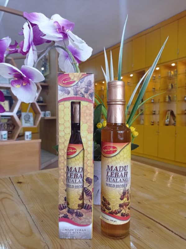 Madu Lebah Tualang