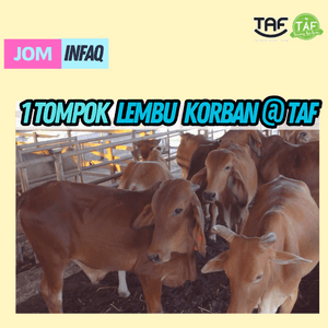LEMBU KORBAN SEEKOR (BOLEH PILIH HARI)