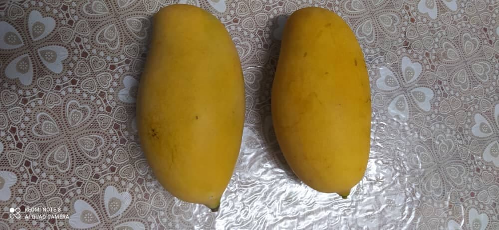 BUKIT MERAH MANGGA SALA - Image 1