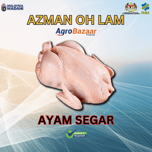AYAM SEGAR